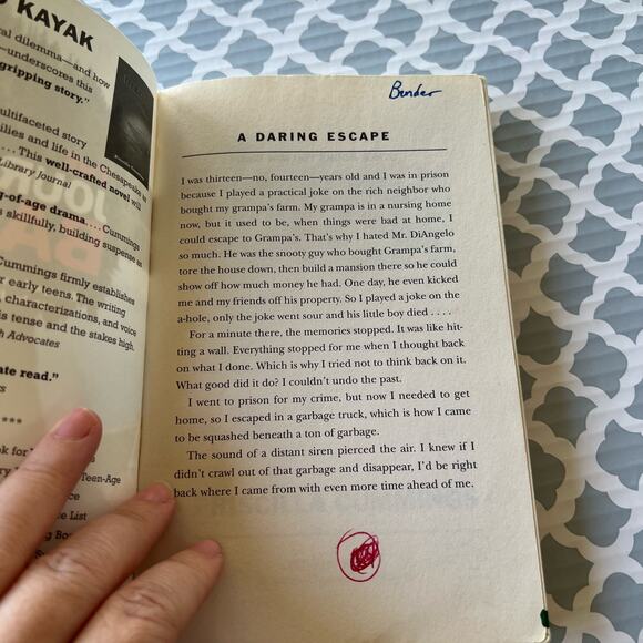 The Journey Back by Priscilla Cummings Paperback Book Pre-Loved - Picture 5 of 7